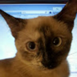 Meet your Posher, Gina